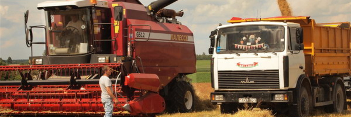 Кубань стала лидером среди регионов России по урожайности зерновых